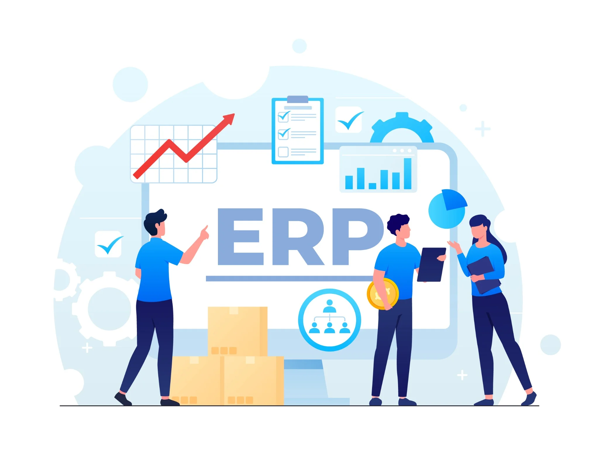 ERP Integrations